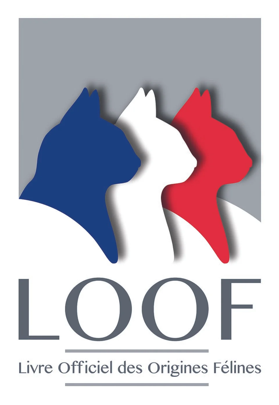 Logo LOOF - Livre Officiel des Origines Félines
