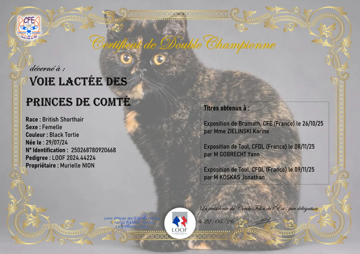Diplome de Double championne National